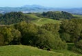 Green Rolling Hills in the Country