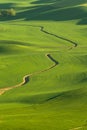 Green rolling hills of farmland wheat fields seen from the Palouse Royalty Free Stock Photo