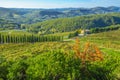 The green rolling hills of the Italian wine country Royalty Free Stock Photo