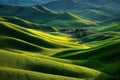 Green rolling hills with subtle light and shadow Ai photo Royalty Free Stock Photo