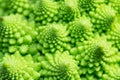 Green Romanesque broccoli detailed texture close up