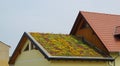 Green roof 01