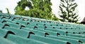 Green roof shingles closeup during summer