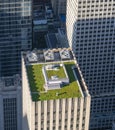 Green roof of a skyscraper