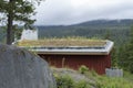 Green roof on a building in Whistler BC Royalty Free Stock Photo