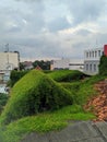 Green rooftile nature