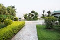 Green rooftop garden Royalty Free Stock Photo