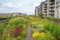 green rooftop garden, with blooming flowers and herbs, in modern office building