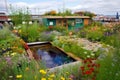 green rooftop garden with colorful blooms and water feature
