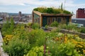 green rooftop garden, complete with flowers and greenery