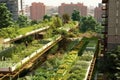 green rooftop garden on a sustainable city building