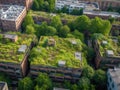 Green rooftop office building with nature and relaxation