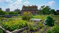 A green rooftop with a small apiary where bees can thrive and pollinate the surrounding plants Royalty Free Stock Photo