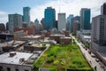 green rooftop with view of a bustling cityscape, including tall buildings and busy sidewalks