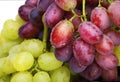 Green and rose grapes Royalty Free Stock Photo