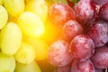 Green and rose grapes Royalty Free Stock Photo