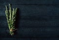 Green rosemary bunch on black vintage wooden background close up top view, natural organic aromatic food on kitchen table