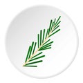 Green rosemary twig icon circle