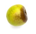 Green rotten apple on a white background