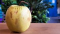 Green rotten apple on a wood background. Green apple on a old wooden background, top view. Organic juicy bio apple ugly, with