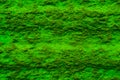 green rough texture for tapete