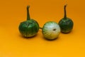 A group of Green round eggplant isolated on orange background Royalty Free Stock Photo