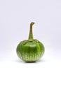 Eye level view of Fresh Green round eggplant isolated on white background. Royalty Free Stock Photo