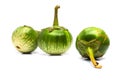 A group of Green round eggplant isolated on white background Royalty Free Stock Photo