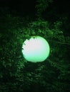 Green round lantern shines in the foliage in the dark Royalty Free Stock Photo