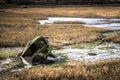 A green row boat sunk in water at a marsh on the Kent coast