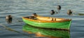 Green rowing boat moored on the River Dart near Dittisham, Devon, UK