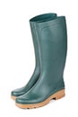 Green rubber boots Royalty Free Stock Photo