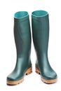 Green rubber boots Royalty Free Stock Photo
