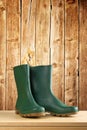 Green rubber boots for garden work Royalty Free Stock Photo