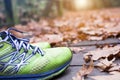 Green runner shoe in the fall leaves on the ground in the forest in autumn season