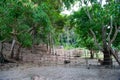 green rural landscape outdoor with wooden fence. rural landscape nature.