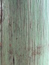 Green rustic wall wood texture colorful wood