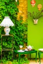 Green rustical styled decoration of front of house with flowers