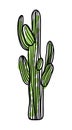 Green saguaro cactus hand drawn icon Royalty Free Stock Photo