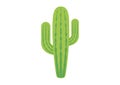 Green saguaro cactus icon vector