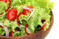 Green Salad Royalty Free Stock Photo