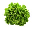 Green salad Royalty Free Stock Photo