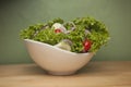 Green salad Royalty Free Stock Photo