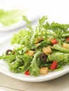 Green salad Royalty Free Stock Photo