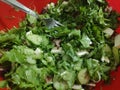 Green salad. Appetizer, vegetables.