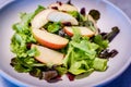 Green salad with Apple, Walnut and Cranberries Royalty Free Stock Photo