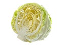 Green salad cabbage