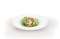 Green Salad with chicken meat Royalty Free Stock Photo