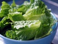 Green salad cos romaine lettuce sliced