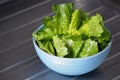 Green salad cos romaine lettuce sliced Royalty Free Stock Photo